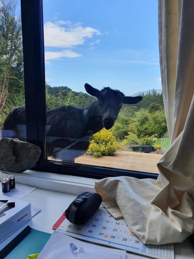 Golden Bay Glamping Otel Takaka Dış mekan fotoğraf